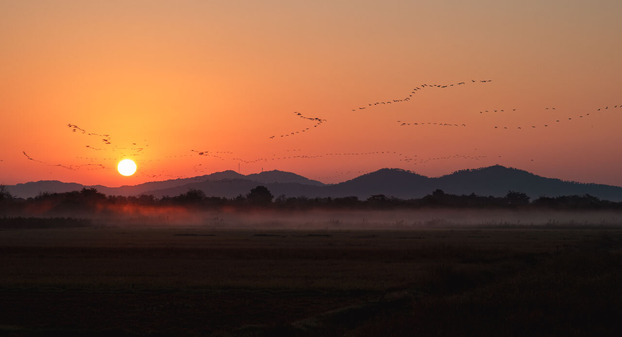 朝のフィールド Morning field