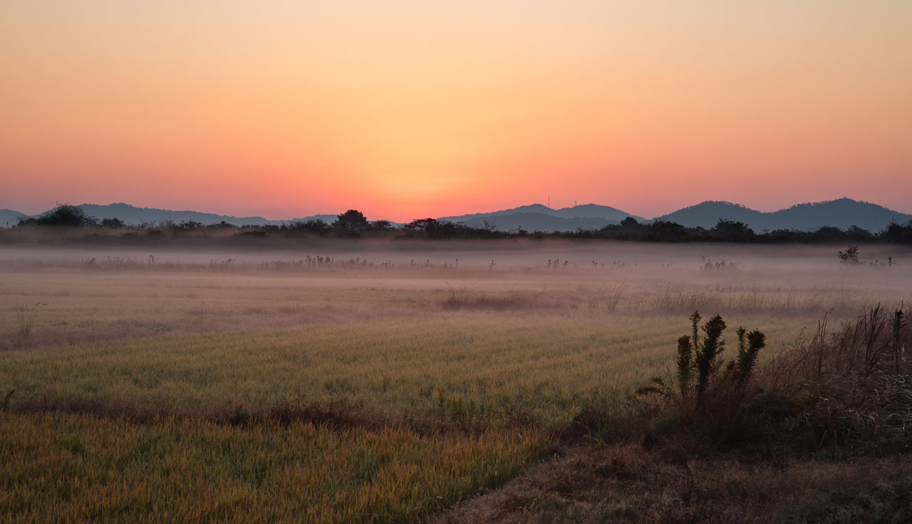 A pre-dawn view of the Ajisu countryside with fog near the ground. The sky beyond Kirara-hama Nature Park is tinged with red.