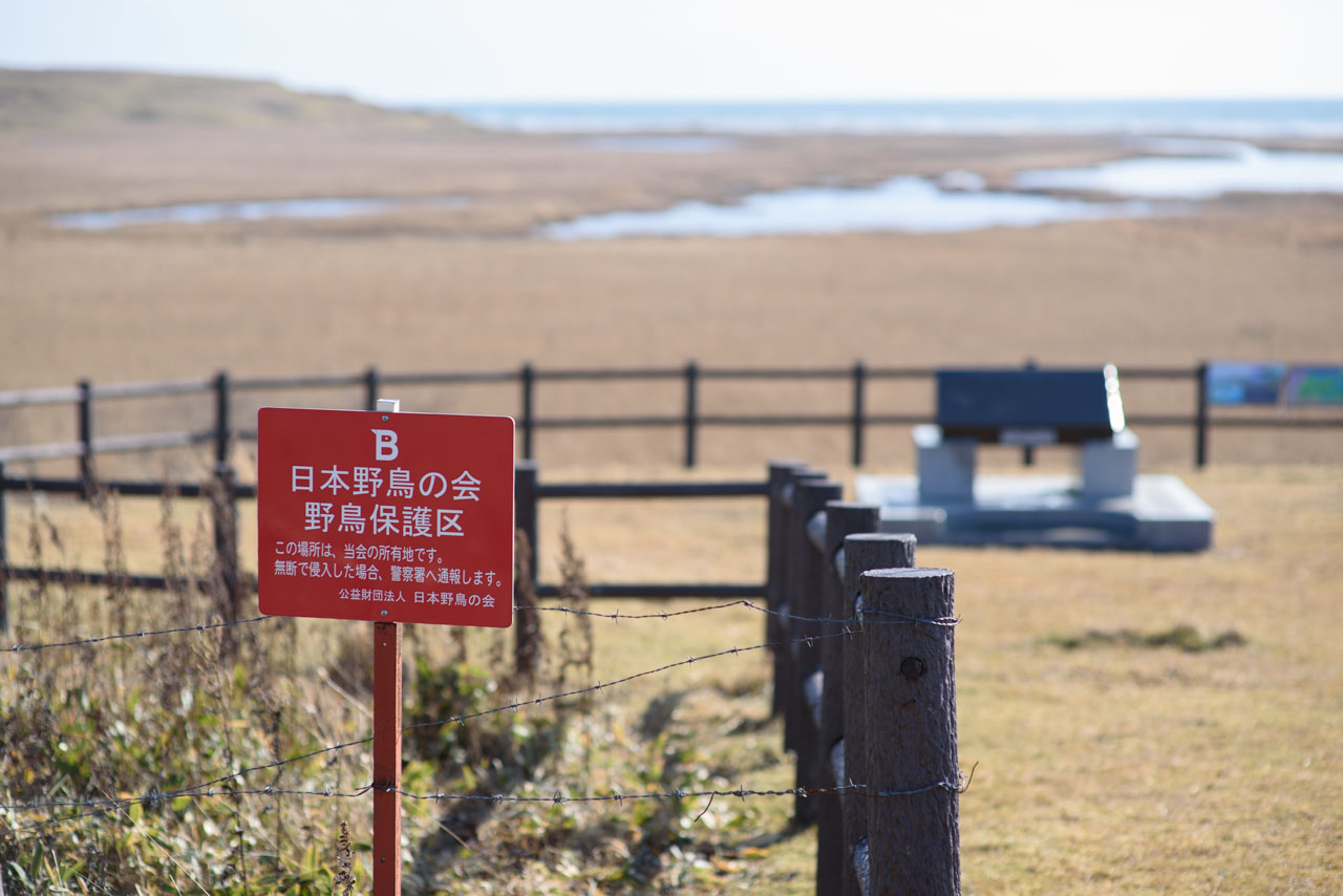 フレシマ湿原に設置された野鳥の会の注意書きとモニュメント Warning signs and monuments of the Wild Bird Society installed at Fureshima marshland