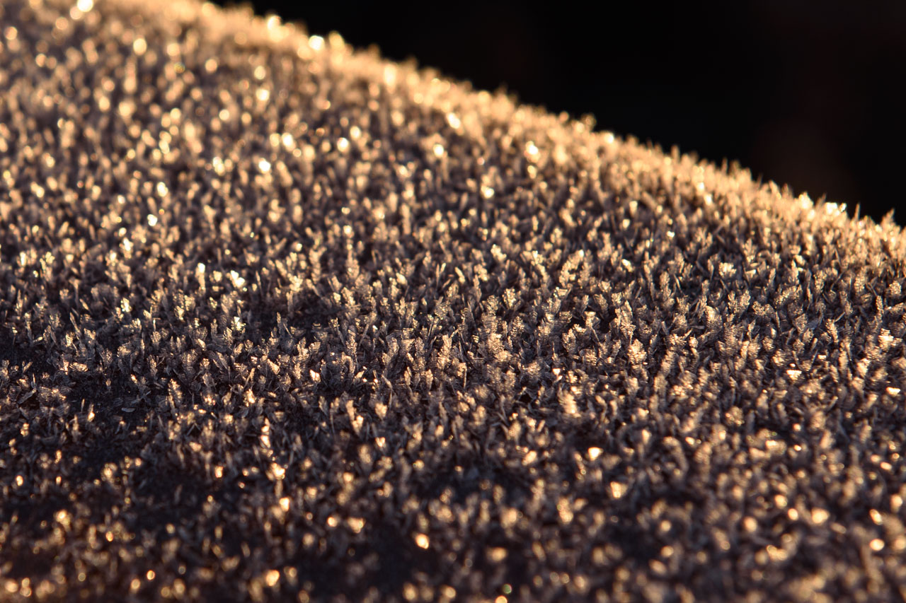朝日に照らされる欄干の上に成長した氷の結晶のクローズアップ Close-up of ice crystals growing on the parapet lit by the morning sun