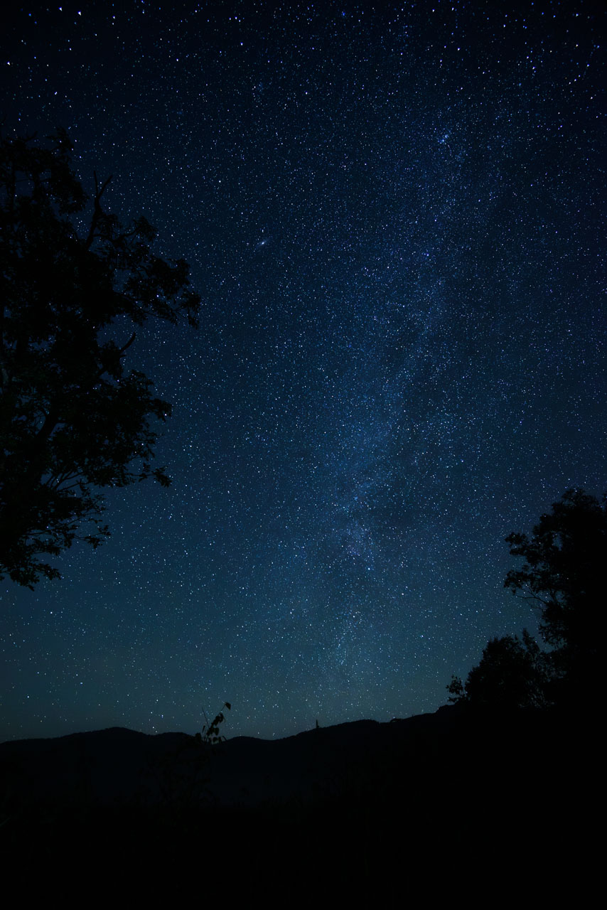 熊を警戒しながらの星空。日中はそんな雰囲気はなかったが、まさか早々に遭遇するとは…。｜Nikon D750 + AF-S NIKKOR 16-35mm f/4G…