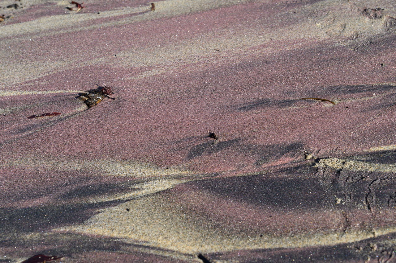 Close-up of purple sand at Pfeiffer Beach