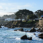 Monterey旅行で野生動物観察 その2 Sea, coastline, and town illuminated by the morning sun at Perkins Park in Monterey