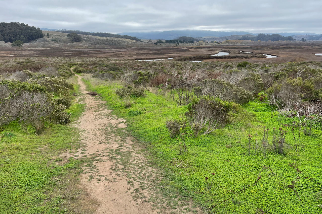 Gentle downhill section of Pescadero Marsh Trail with Butano Creek