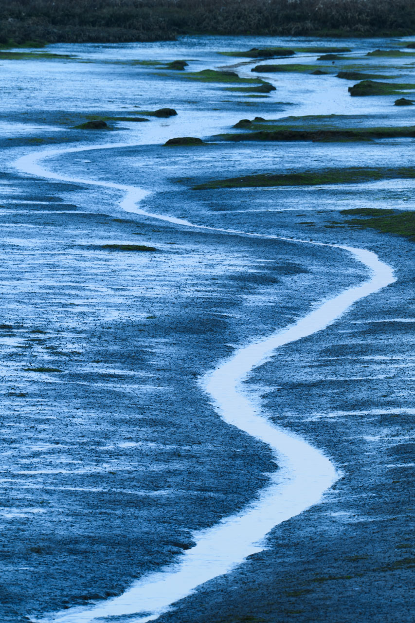 Meandering wetland channel reflecting the sky after sunset at Bair Island