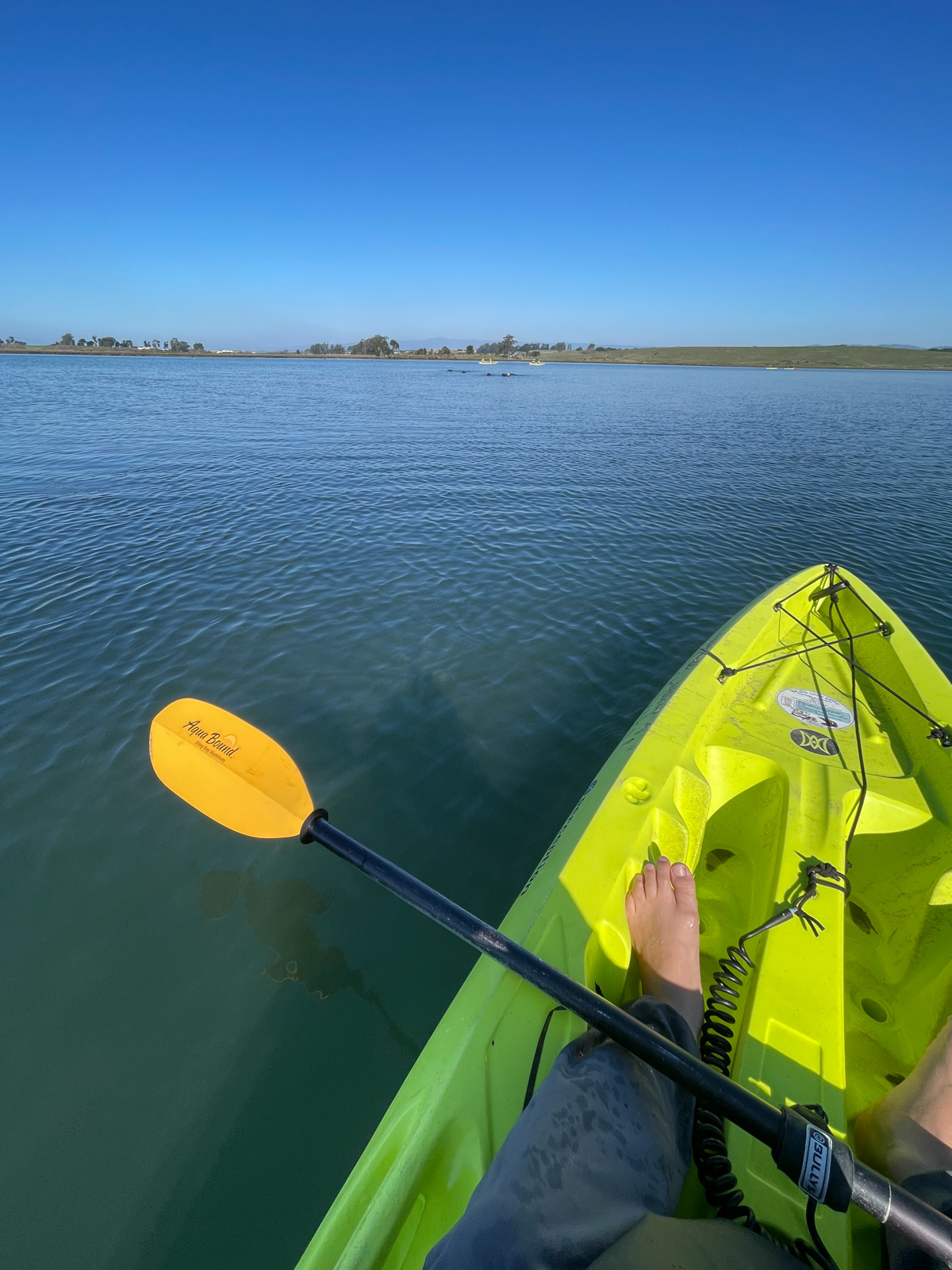 Paddling a kayak forward, winter, Elkhorn Slough